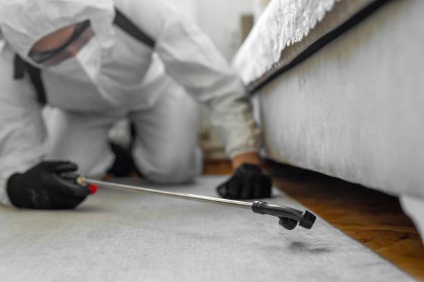 Professional Mosquito Control technician working in Independence, WI