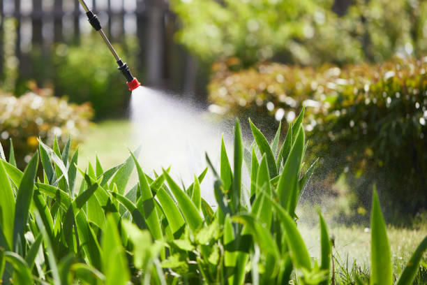 24/7 Emergency Mosquito Control experts in Independence, WI